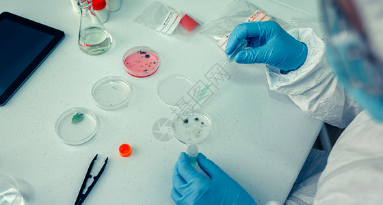 具有细菌防护西装和实验室中的花生盘不可辨认女科学家图片