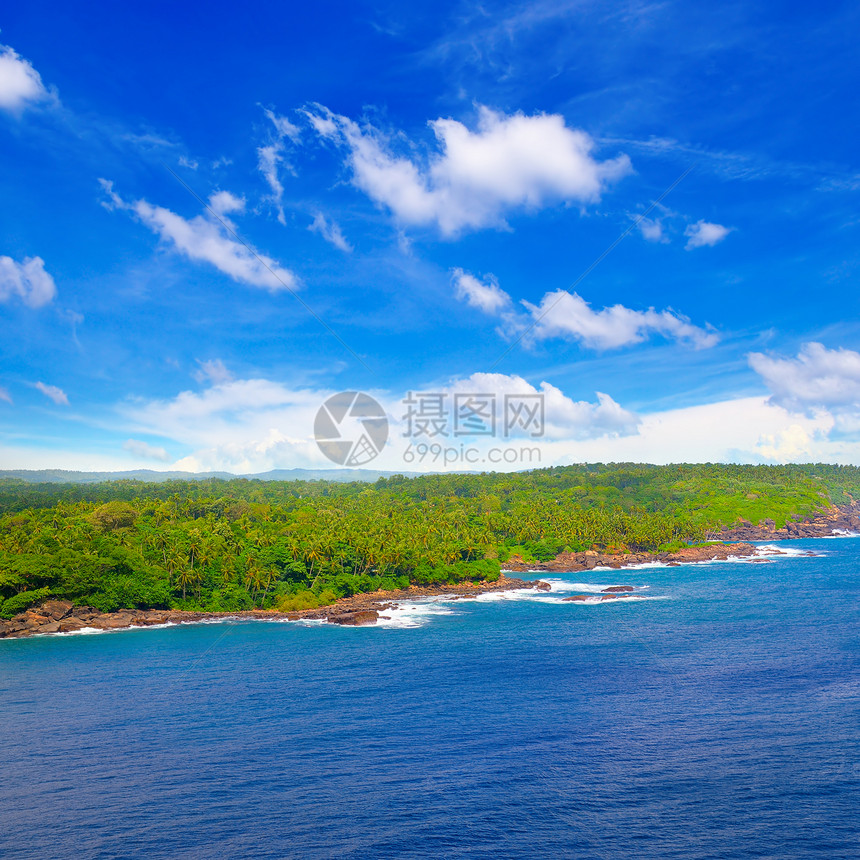 深蓝色调的海洋景明亮的绿水美丽的海滩热带植被图片