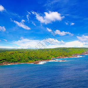 深蓝色调的海洋景明亮的绿水美丽的海滩热带植被高清图片