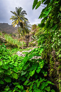山太安岛非洲角渡谷山太安岛角渡的堡谷地貌图片