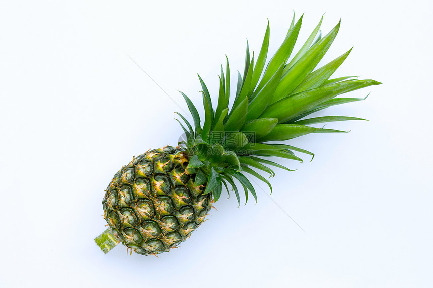 白色背景上的单整菠萝顶视图图片