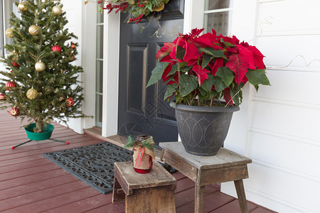 房子前门的圣诞装饰背景图片