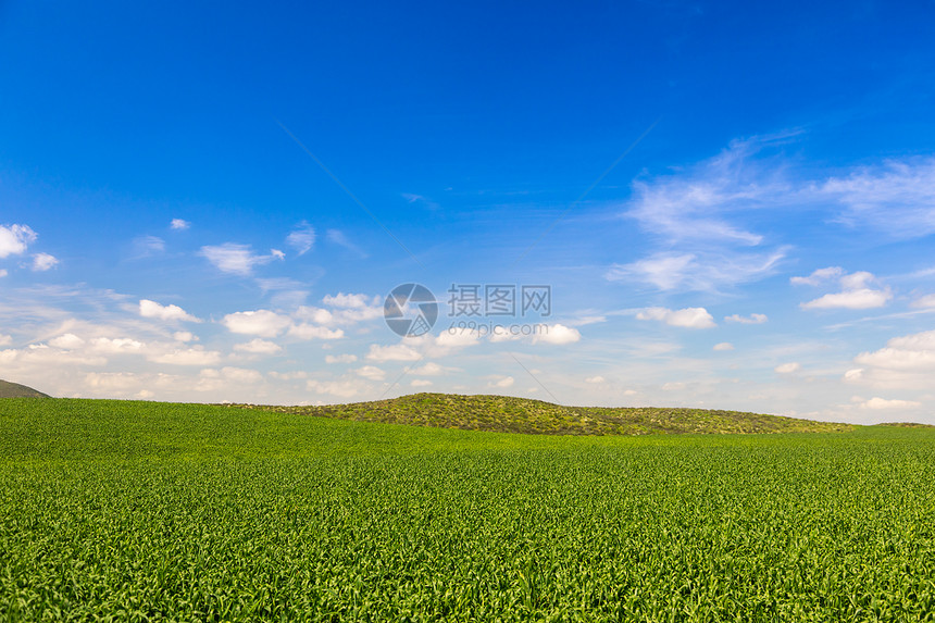 荒凉的绿色农田地貌远处有山丘图片
