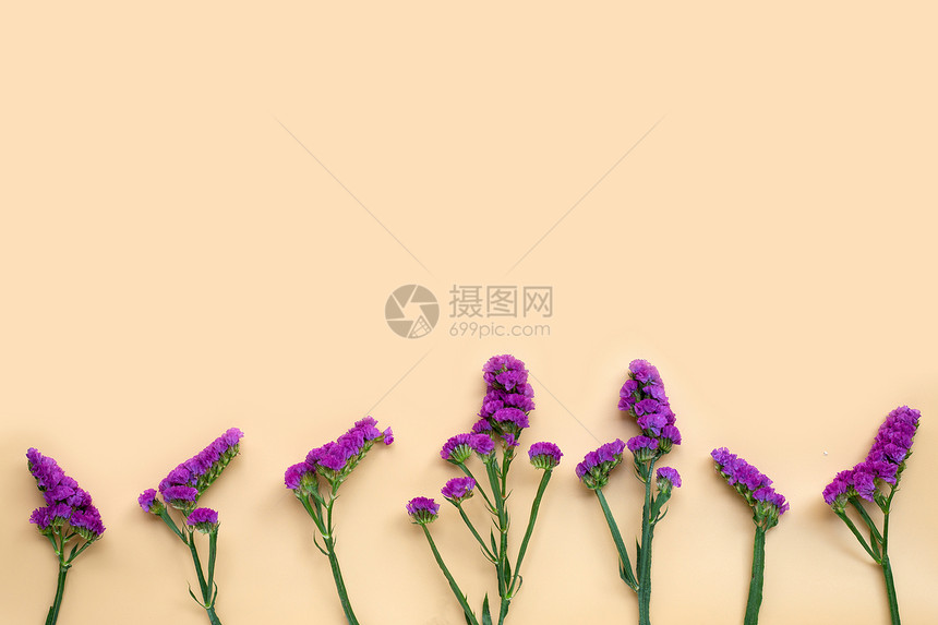 奶油颜色背景上的静态花朵复制空格图片