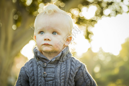 可爱的金发小宝贝男孩户外公园图片