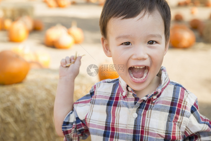 可爱的混合种族年轻男孩在南瓜草地玩得开心图片