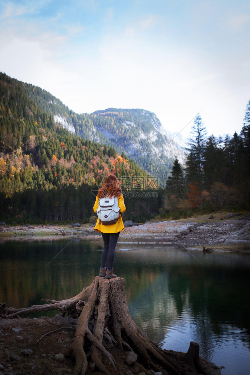 带着背包的旅游女孩站在山湖岸上一个巨大的树桩上图片