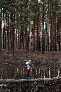 倒下的孩子游客在湖边的一棵落树上行走背景