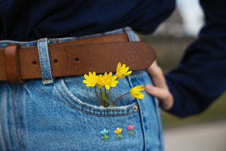 美丽的背景牛仔裤口袋中的黄色花朵图片