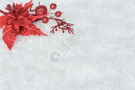 在白雪背景上装饰红薄荷花的圣诞节装饰有文字空间图片