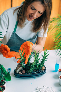 照顾家庭植物的年轻妇女图片