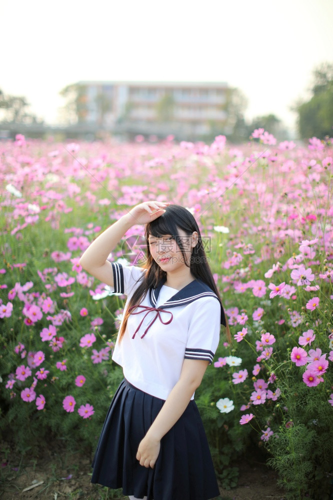 穿着粉红宇宙花的日本女学生制服的日本女学生肖像图片