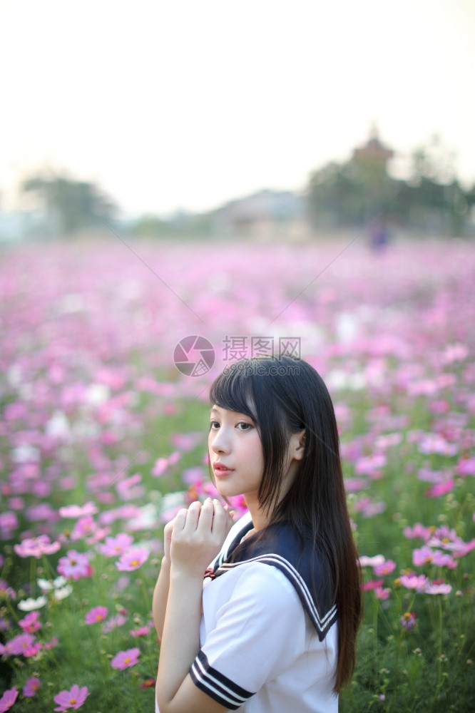 穿着粉红宇宙花的日本女学生制服的日本女学生肖像图片
