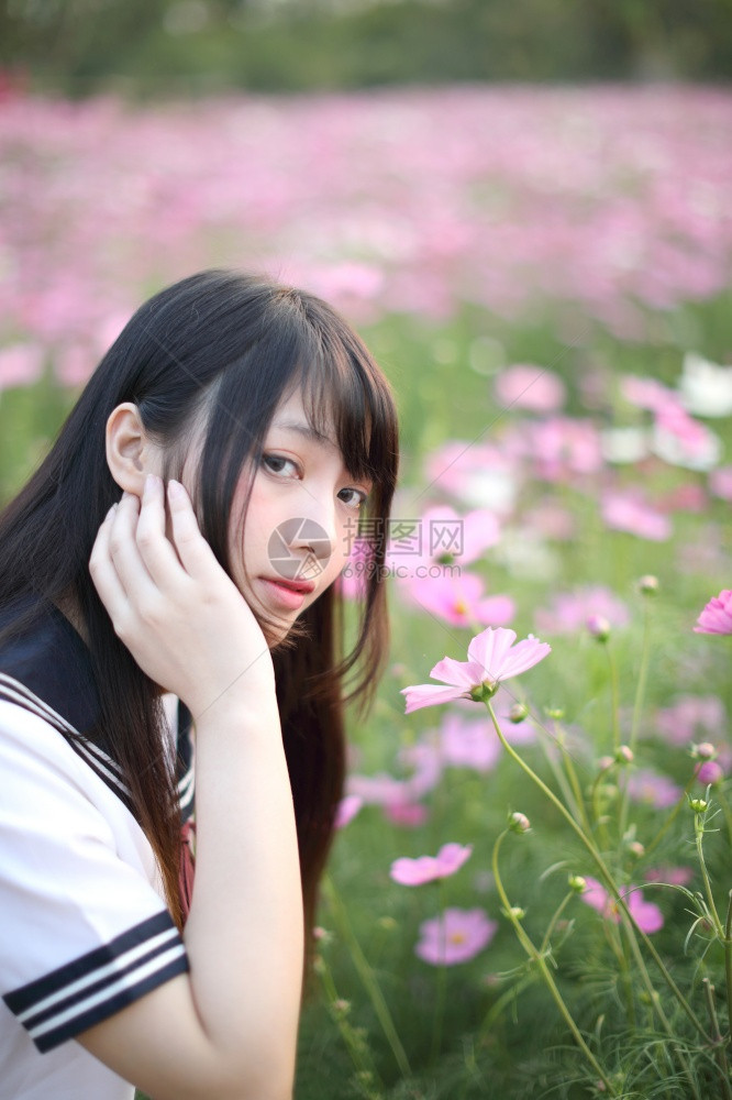 穿着粉红宇宙花的日本女学生制服的日本女学生肖像图片