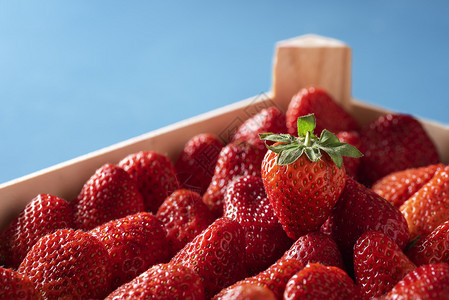 蓝底的木箱中新鲜采摘的草莓熟和绿叶美味的夏季甜食水果图片