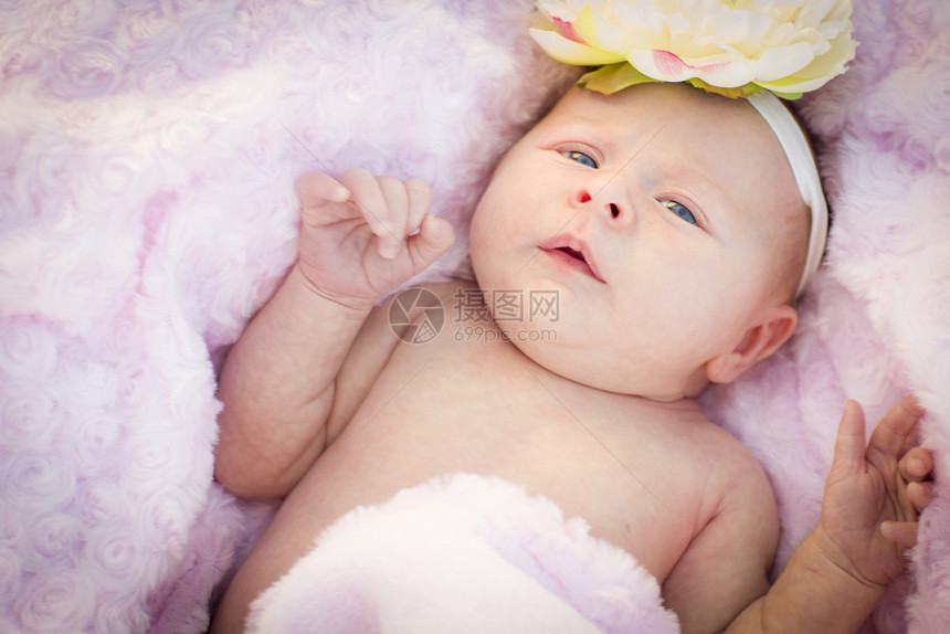 新生儿躺在粉色的毛毯里图片