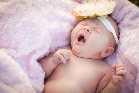 美丽的新生女婴和平地躺在柔软的粉色毯子中背景