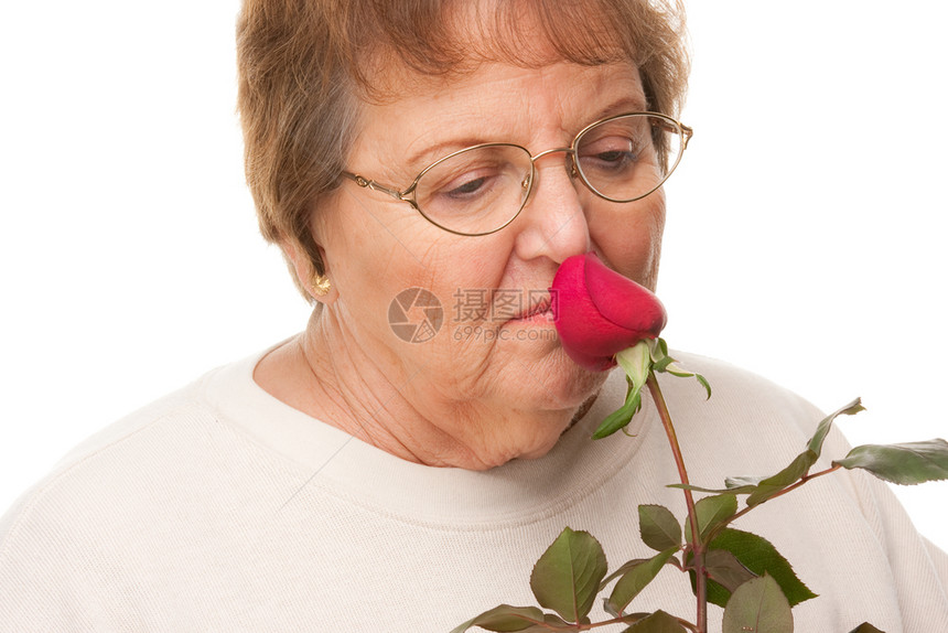 红色玫瑰的有吸引力高级女孤立在白色背景图片