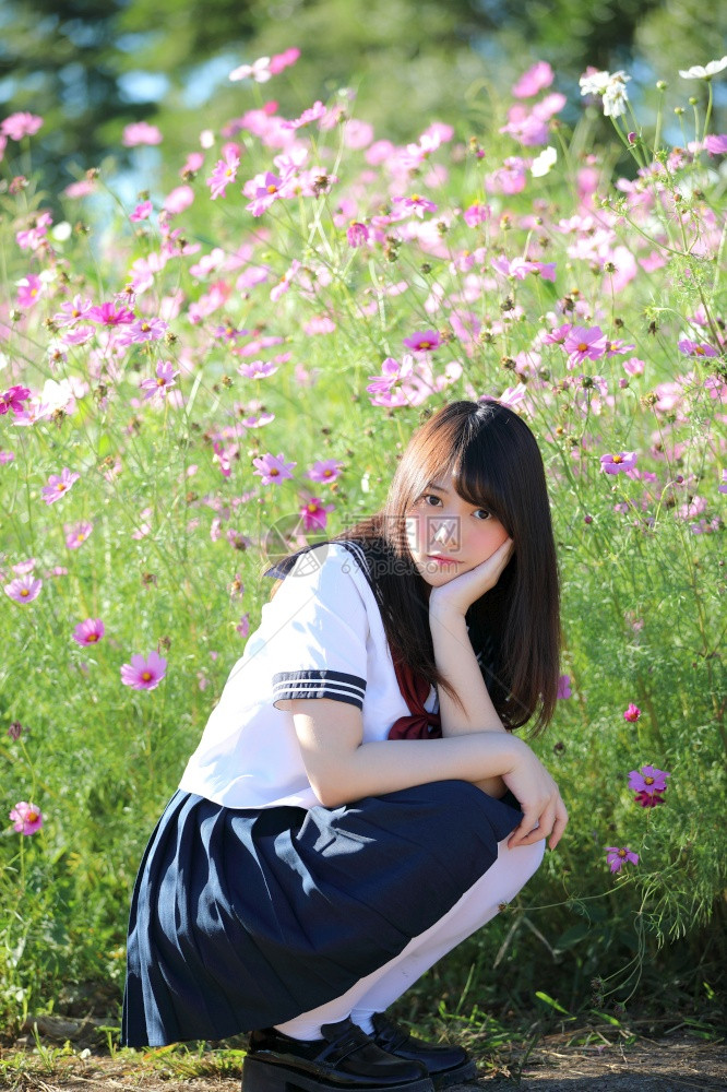 带着宇宙花笑容的日本女学生制服图片