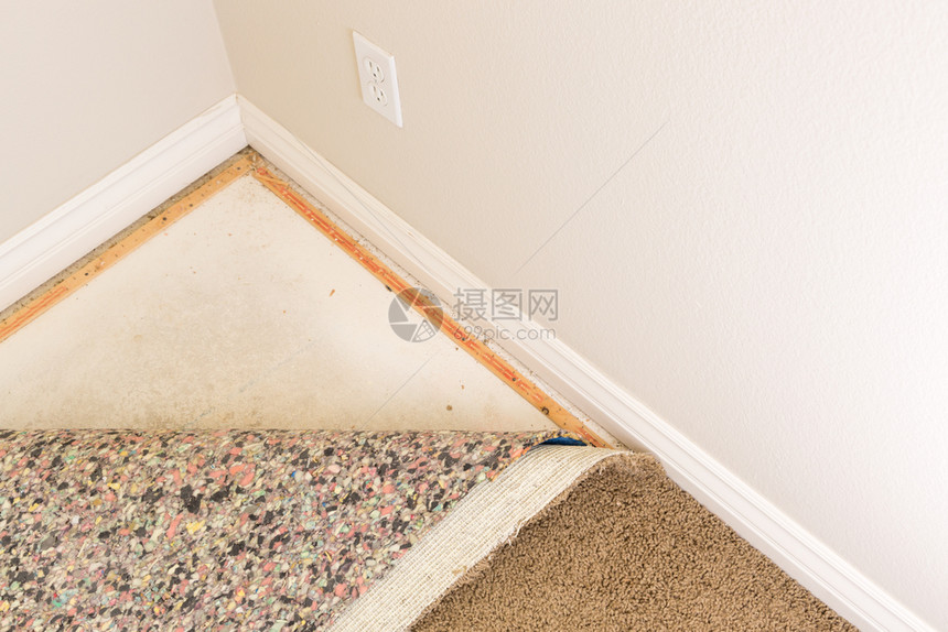 把地毯和垫子拉回房的间图片