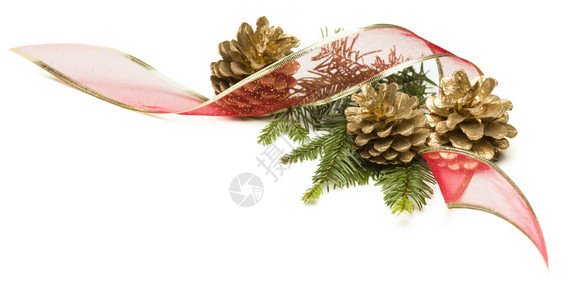 圣诞松果红丝带和树枝被白种背景隔绝图片