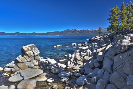 美丽明亮的塔霍湖水岸背景图片