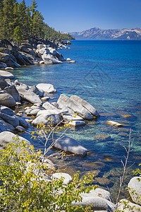 美丽明亮的塔霍湖水岸背景图片