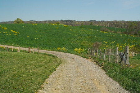 乡村公路和草地在夏季的一天乡村公路和草地图片