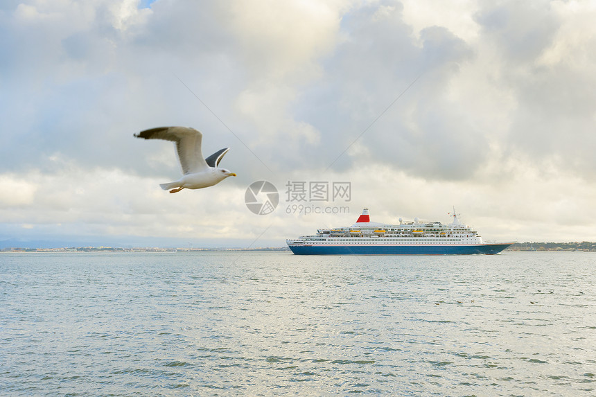 游轮和海鸥在Tagus河边飞行图片