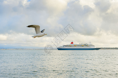 游轮和海鸥在Tagus河边飞行图片