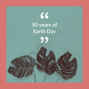 50年的地球日关于绿色植物背景的信息拯救地球和生态友好概念图片