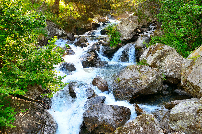 山地森林和前面的河流美丽景色图片