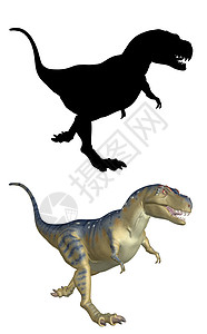 时代巨献毛笔字大恐龙巨雷克斯与黑色双影3d提供插图背景