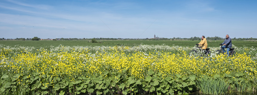 Vinkevthrlands24april20夫妇在春地骑自行车花朵在Uutrech和Amrsdam之间在Nethrlands图片