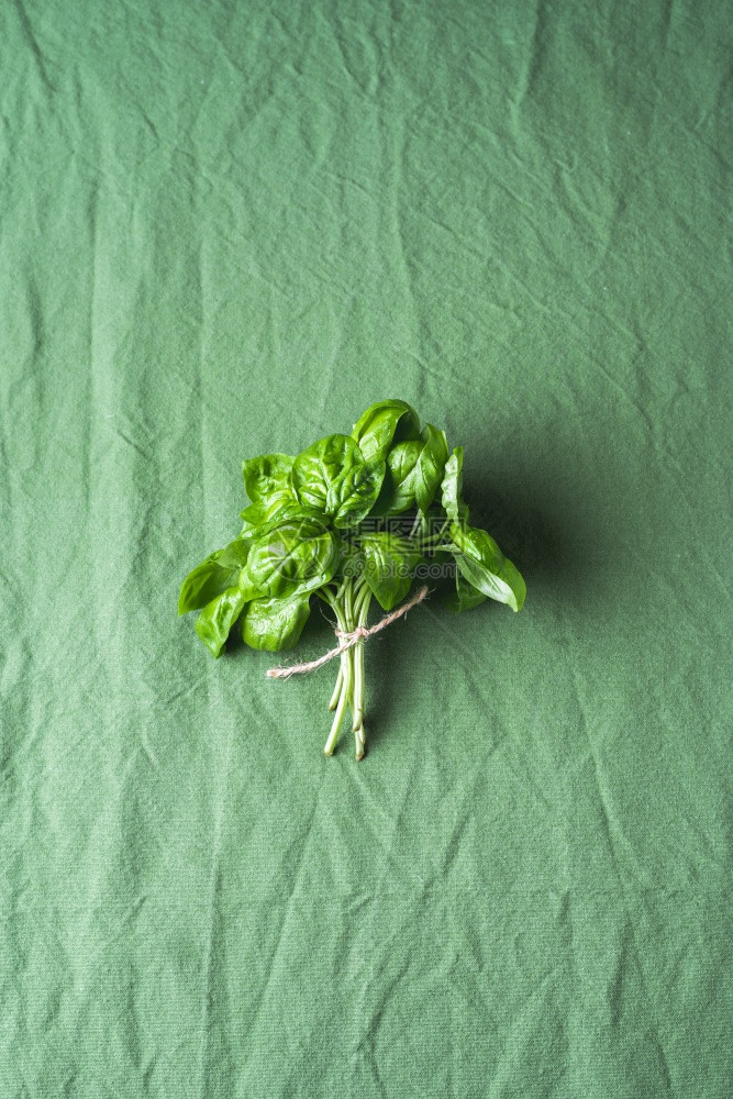 绿色布料背景上的鲜肉有机土生植物芳香药草味食品成分纯的香料图片