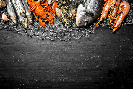 海鲜各种洋虾贝类和龙在渔网的黑板上各种海洋虾贝类和龙在渔网上图片