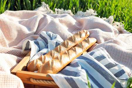 夏天在草地野餐绿上吃面包图片