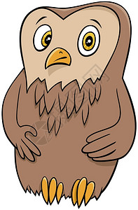 滑稽猫头鹰鸟类野兽格的漫画插图图片