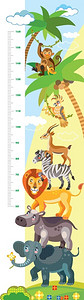 非洲米拉夫卡通可爱动物图案高度测量插图插画