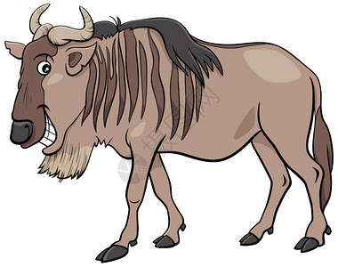 白胡子角马卡通可爱的野牛插画