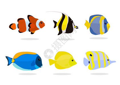 下陷多彩海洋鱼类插画