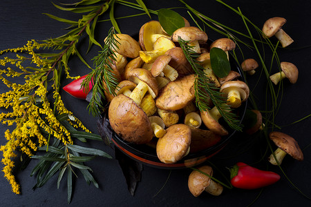 蘑菇和野草素食健康食品概念高清图片