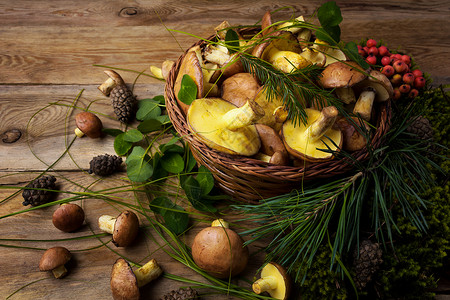 林子篮野生森林采摘滑杰克蘑菇绿叶果子在生锈木背景关闭素食健康品概念图片