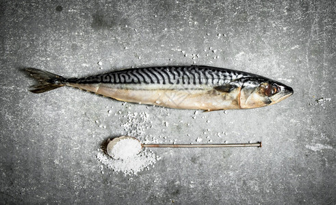 一勺盐的生鱼在石板上一勺盐的生鱼图片