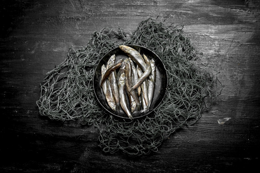 鱼网上一个碗里的斑点黑木本底图片