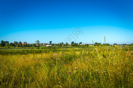乡村夏季风景与田野蓝天空和绿树图片