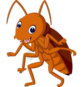 杀虫剂可爱的蟑螂插画
