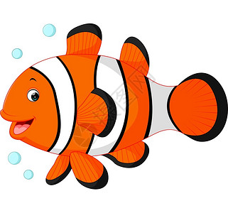 可爱的小丑鱼漫画高清图片