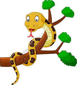 树枝上的卡通蛇图片
