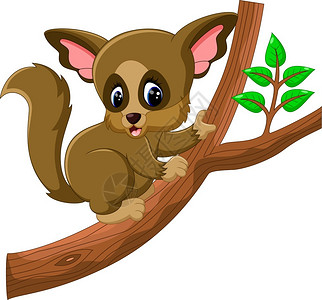 卡通可爱棕色动物插画图片